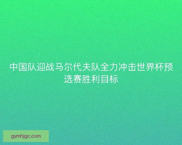 中国队迎战马尔代夫队全力冲击世界杯预选赛胜利目标